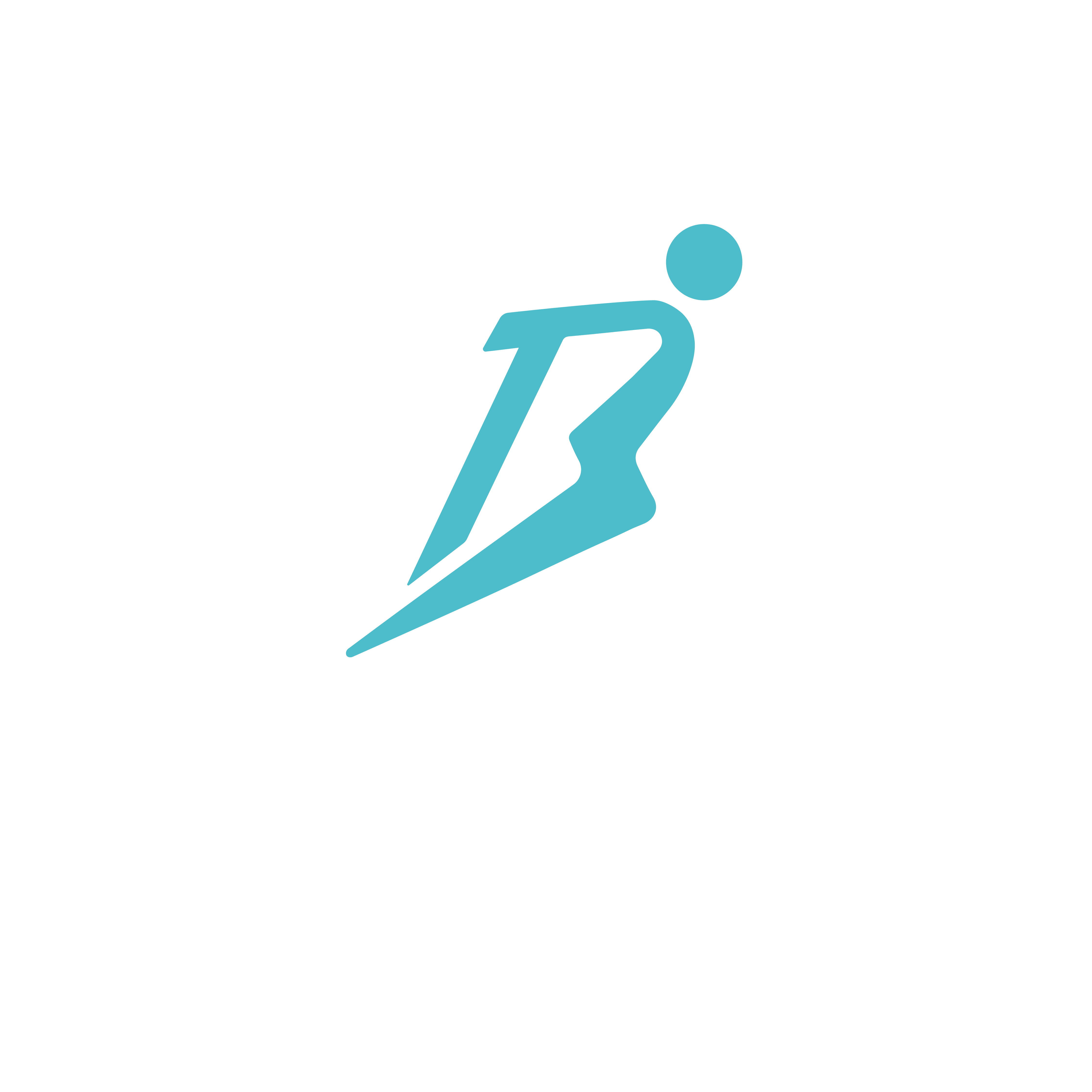 Bourpi Logo